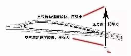 bernoulli-principle