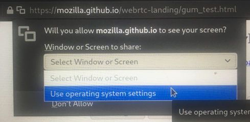 firefox-screen-select